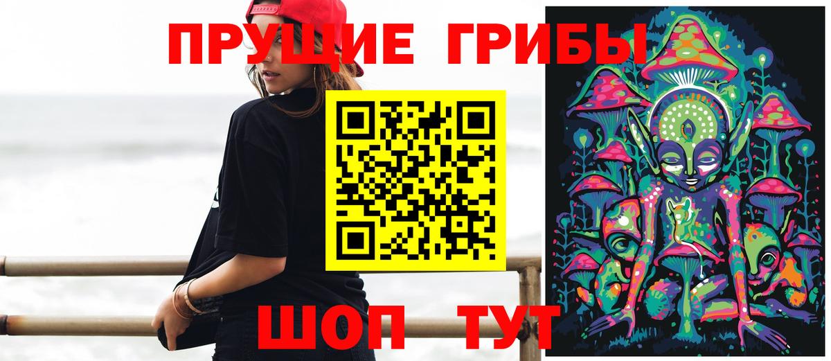 Псилоцибиновые грибы Psilocybine cubensis Батайск