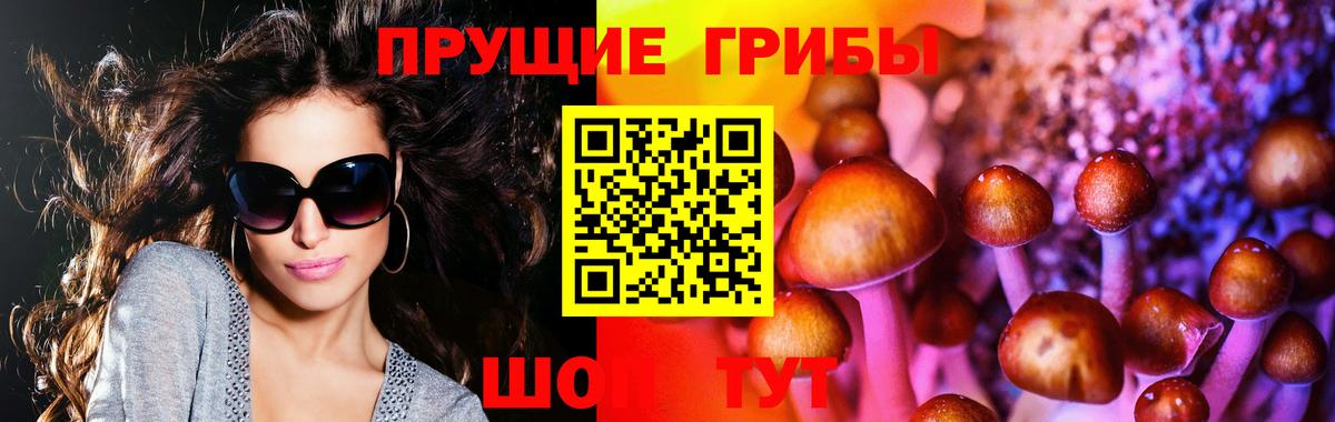 Батайск  Галлюциногенные грибы прущие грибы  Галлюциногенные грибы мухоморы  где продают наркотики  Вход с VPN 