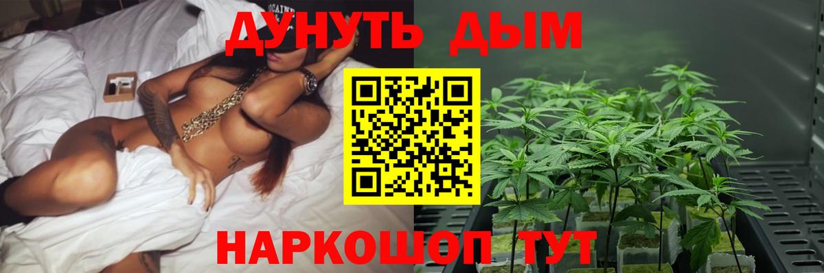 Шишки марихуана планчик Батайск